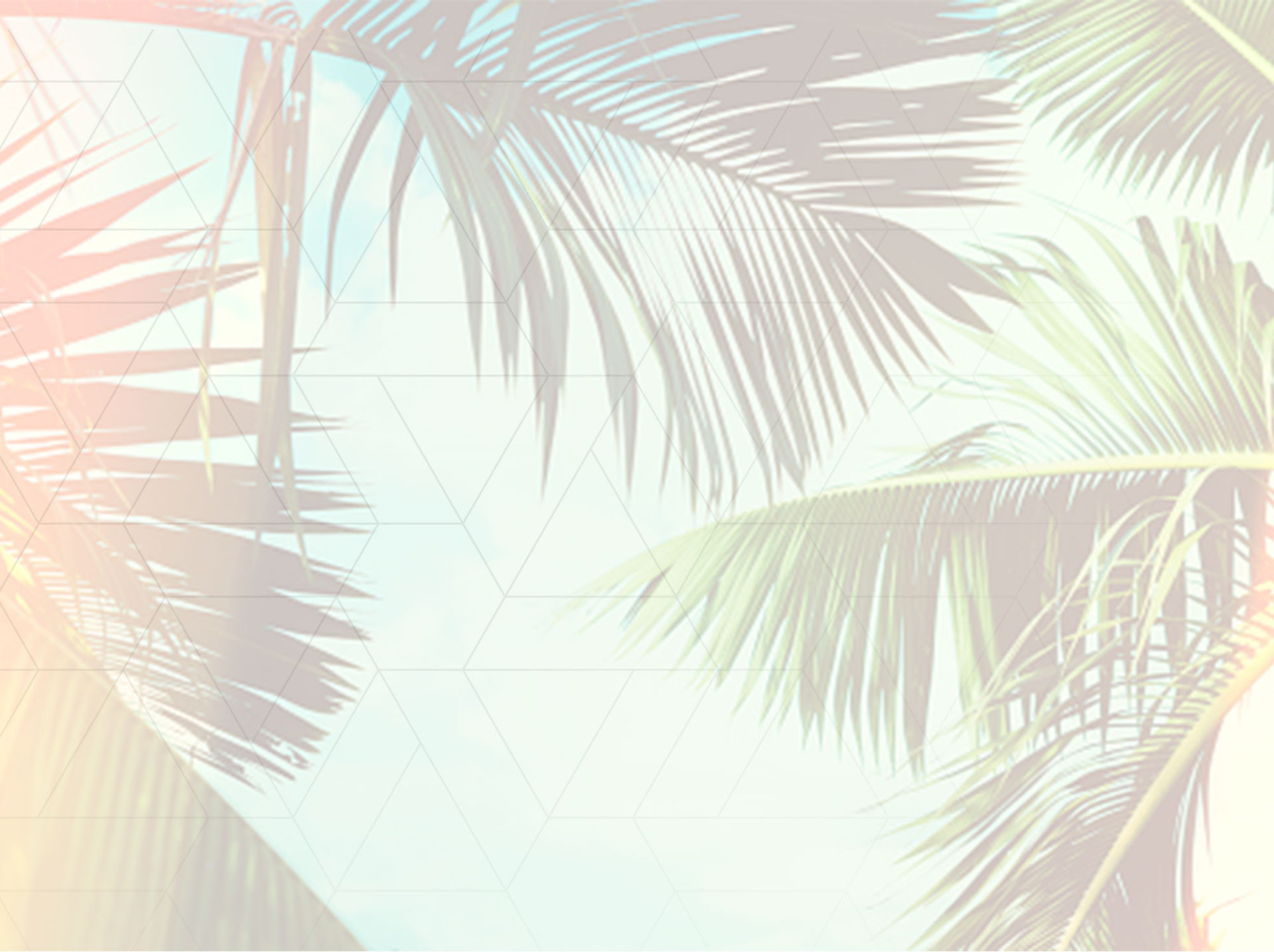 Palm-Trees-with-Grid